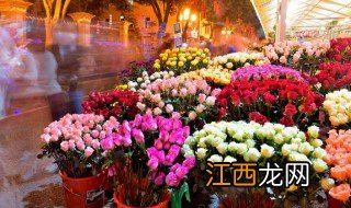 孕妇梦到花是什么意思，孕妇梦见花是怎么回事