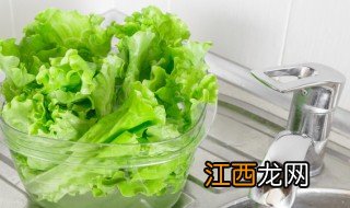 生菜什么时间种植 生菜什么种植有好又高产