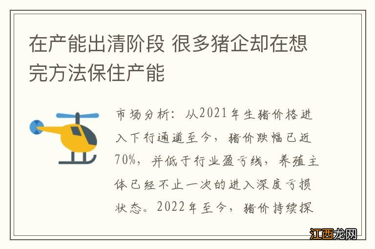 在产能出清阶段 很多猪企却在想完方法保住产能