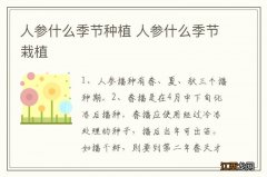 人参什么季节种植 人参什么季节栽植