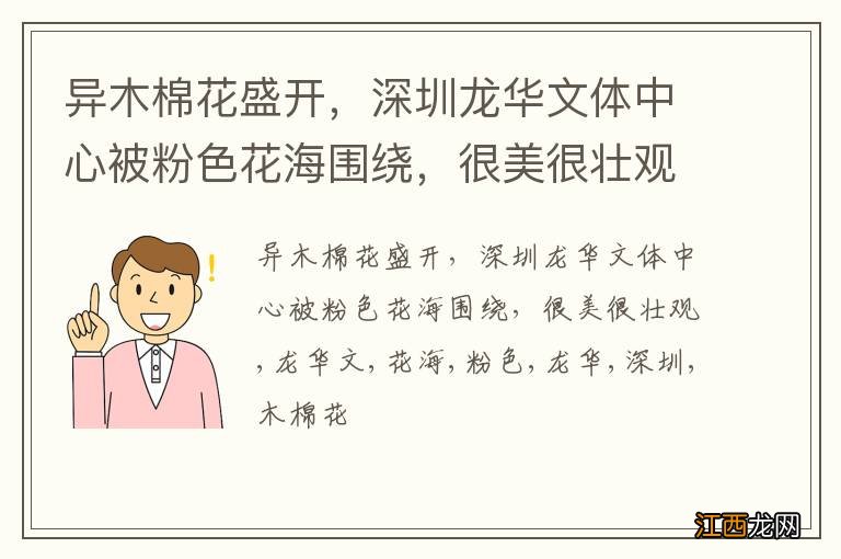 异木棉花盛开，深圳龙华文体中心被粉色花海围绕，很美很壮观