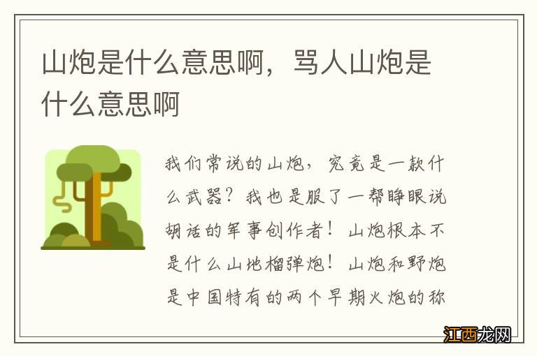 山炮是什么意思啊，骂人山炮是什么意思啊