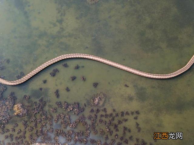 「乐游甘州」张掖：初冬时节戈壁湿地风光独特