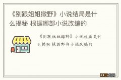 《别跟姐姐撒野》小说结局是什么揭秘 根据哪部小说改编的