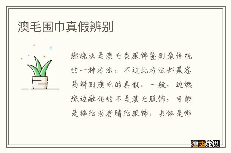 澳毛围巾真假辨别