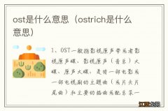 ostrich是什么意思 ost是什么意思