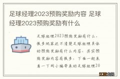 足球经理2023预购奖励内容 足球经理2023预购奖励有什么