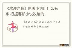 《欢迎光临》原著小说叫什么名字 根据哪部小说改编的