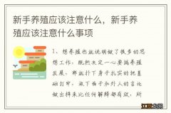 新手养殖应该注意什么，新手养殖应该注意什么事项