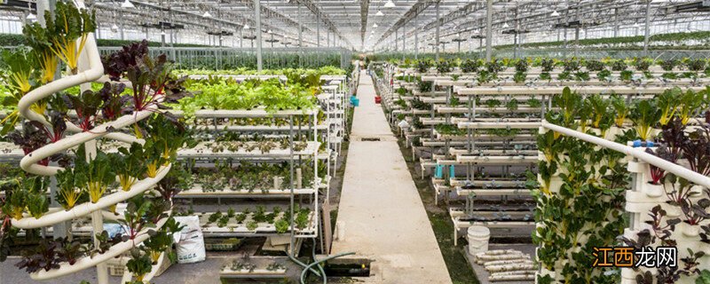 水溶肥十大名牌 生根最快的肥料