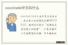 coccinelle中文叫什么