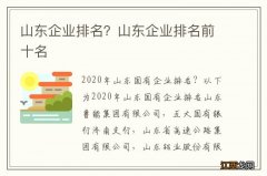 山东企业排名？山东企业排名前十名