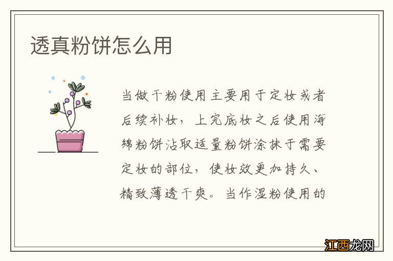 透真粉饼怎么用