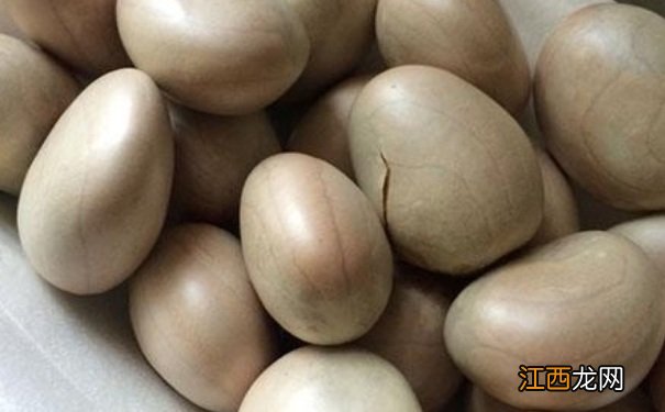 菠萝蜜的核煲汤的做法?菠萝蜜的核煲汤怎么做?