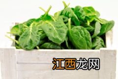 哪些食物吃了对身体好？哪些食物吃了延年益寿？