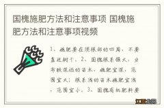 国槐施肥方法和注意事项 国槐施肥方法和注意事项视频