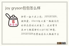 joy gryson包包怎么样