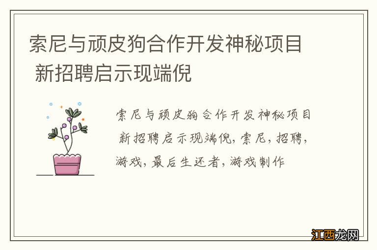 索尼与顽皮狗合作开发神秘项目 新招聘启示现端倪