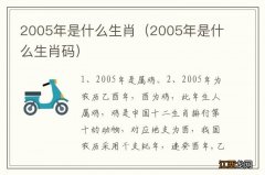 2005年是什么生肖码 2005年是什么生肖