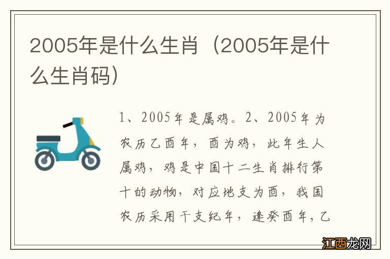 2005年是什么生肖码 2005年是什么生肖