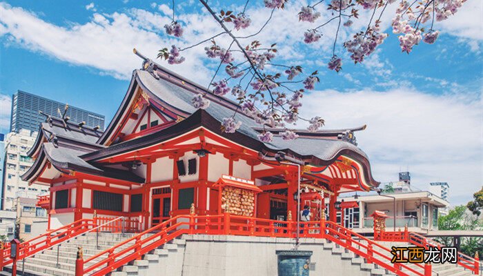 日本樱花花期一般有多少天 樱花花期一般有多少天