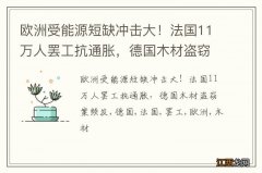 欧洲受能源短缺冲击大！法国11万人罢工抗通胀，德国木材盗窃案频发