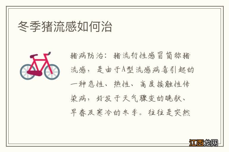 冬季猪流感如何治