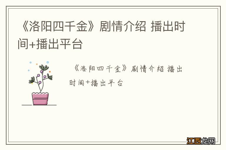 《洛阳四千金》剧情介绍 播出时间+播出平台