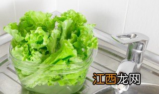 怎样水培生菜 在家水培生菜的种植方法