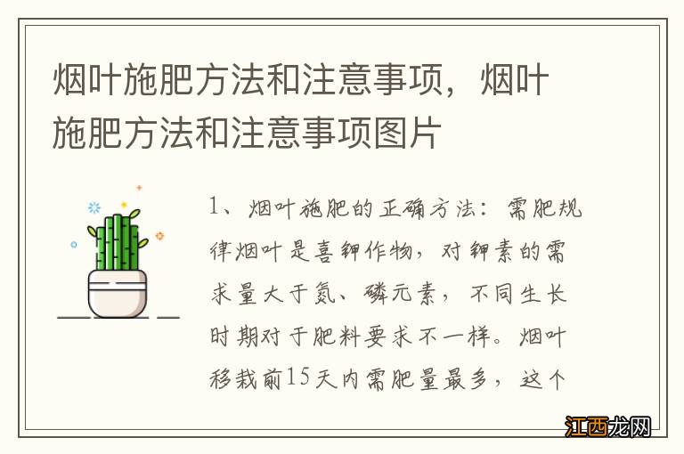 烟叶施肥方法和注意事项，烟叶施肥方法和注意事项图片