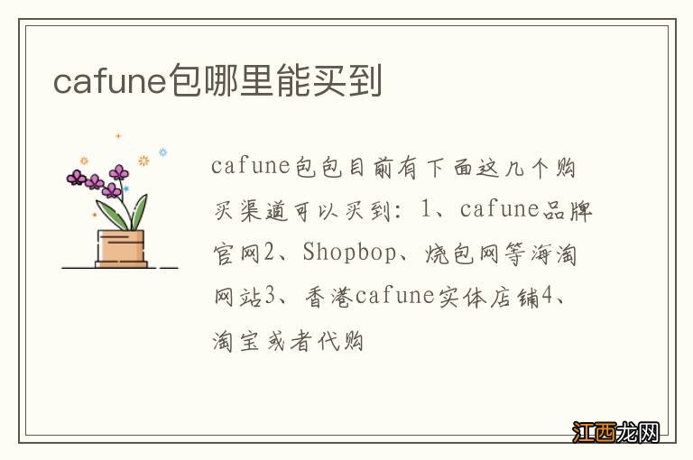 cafune包哪里能买到