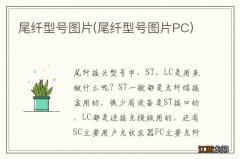 尾纤型号图片PC 尾纤型号图片