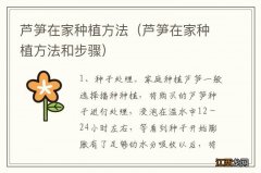 芦笋在家种植方法和步骤 芦笋在家种植方法