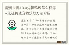 魔兽世界10.0先祖鸭魂怎么获得-先祖鸭魂宠物获取方法介绍