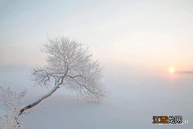 长白天下雪·燃 长春的冬天是啥色儿的？