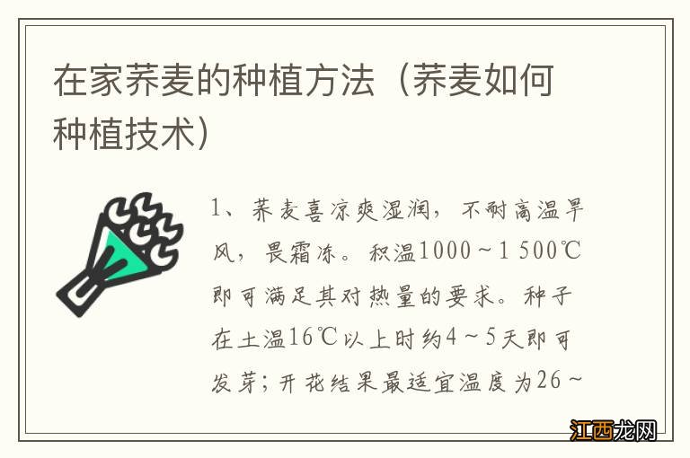 荞麦如何种植技术 在家荞麦的种植方法