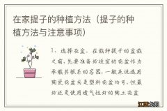 提子的种植方法与注意事项 在家提子的种植方法