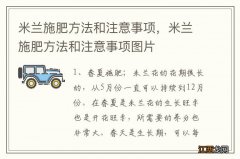 米兰施肥方法和注意事项，米兰施肥方法和注意事项图片