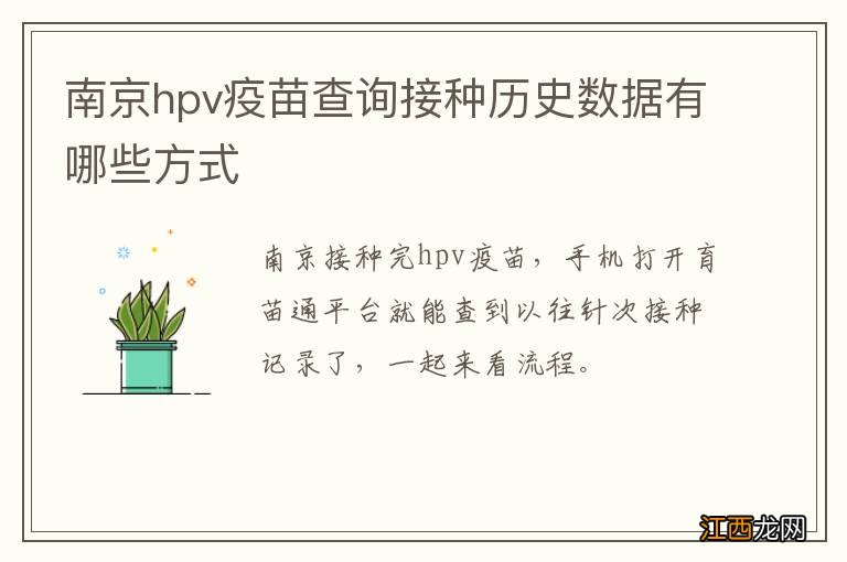 南京hpv疫苗查询接种历史数据有哪些方式