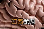 胆结石吃什么水果好