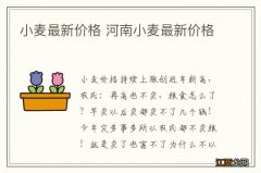 小麦最新价格 河南小麦最新价格