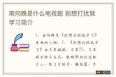 南向晚是什么电视剧 别想打扰我学习简介