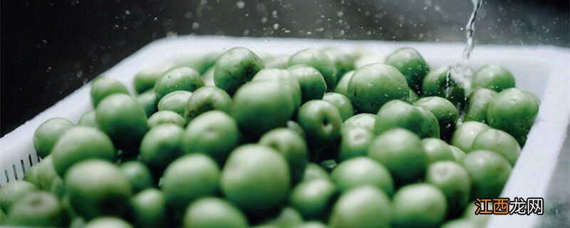 梅子成熟的季节是什么季节? 梅子成熟的季节