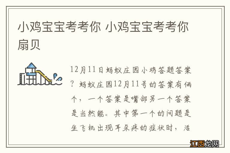 小鸡宝宝考考你 小鸡宝宝考考你扇贝