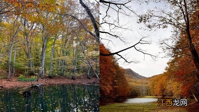 秋天赏枫 盘点日本青森县5大红叶景点