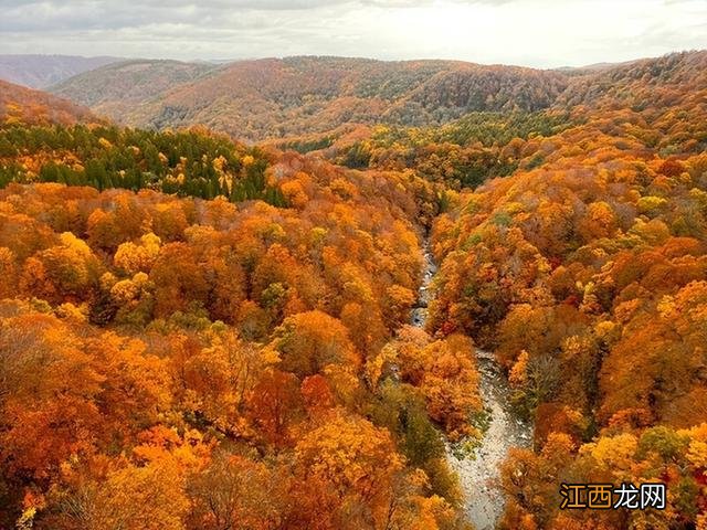 秋天赏枫 盘点日本青森县5大红叶景点