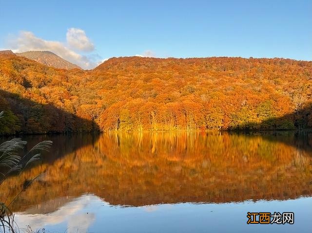 秋天赏枫 盘点日本青森县5大红叶景点