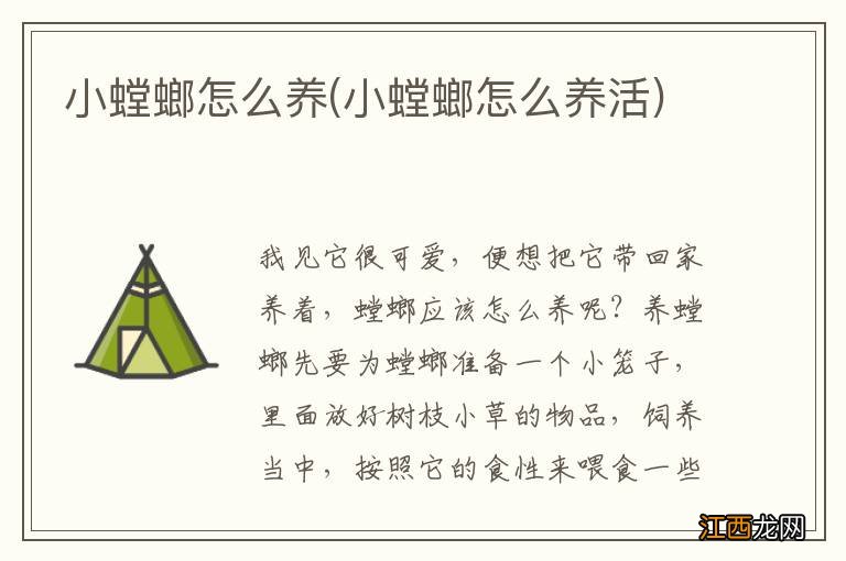 小螳螂怎么养活 小螳螂怎么养