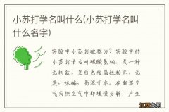 小苏打学名叫什么名字 小苏打学名叫什么