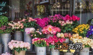 花卉施肥的注意事项 花施肥方法和注意事项